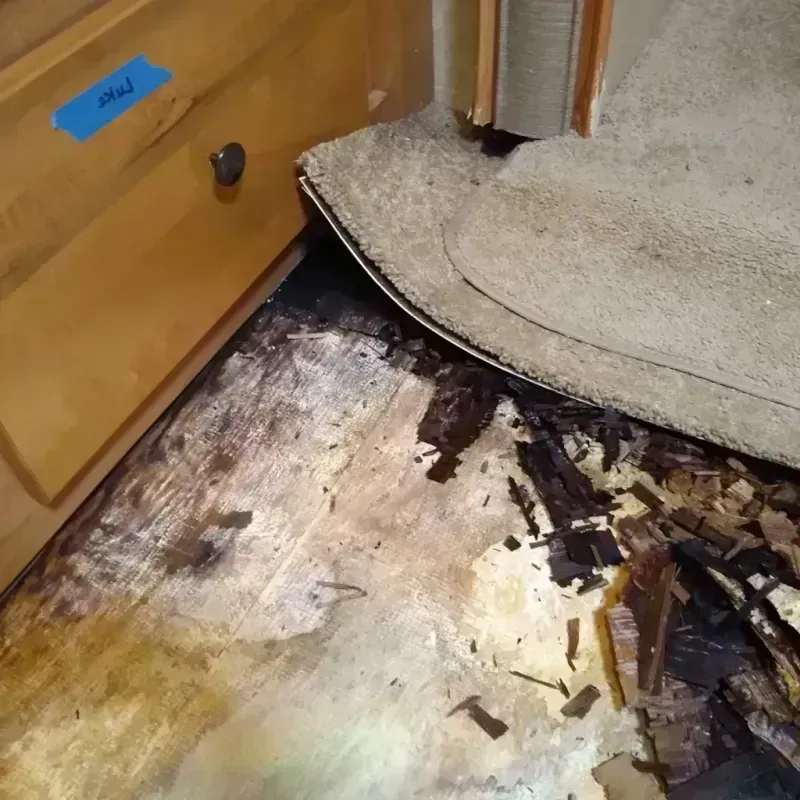 Wood Floor Water Damage in Stonewall, MS